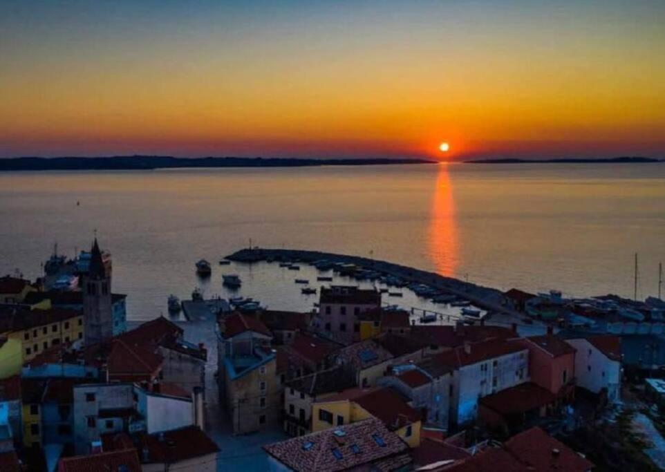Apartman Dorja Fažana Dış mekan fotoğraf
